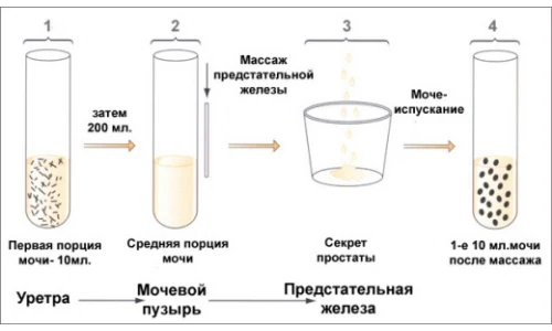 Изображение 2 Изображение 2