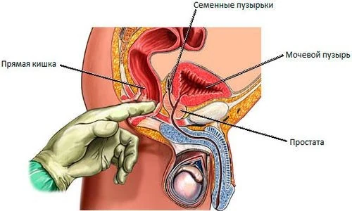Картинка 1 Картинка 1