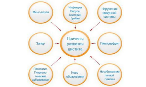 Картинка 2 Картинка 2