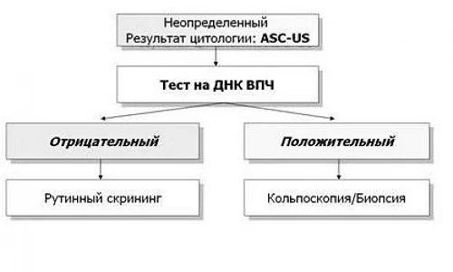 Картинка 5 Картинка 5
