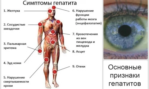 Иллюстрация 4