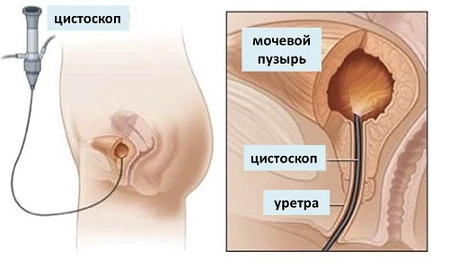 Картинка 6 Картинка 6