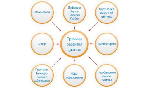 Иллюстрация 3