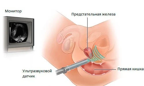 Изображение 8 Изображение 8