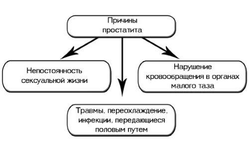 Изображение 5 Изображение 5