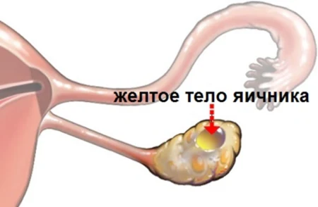 Картинка 3 Картинка 3