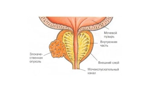 Иллюстрация 2 Иллюстрация 2