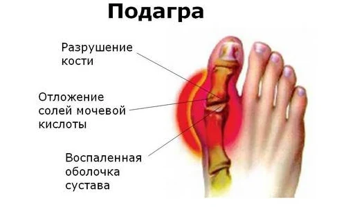 Картинка 3