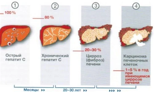 Изображение 4 Изображение 4