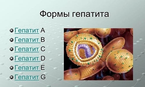 Иллюстрация 2 Иллюстрация 2