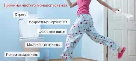 Картинка 1 Картинка 1