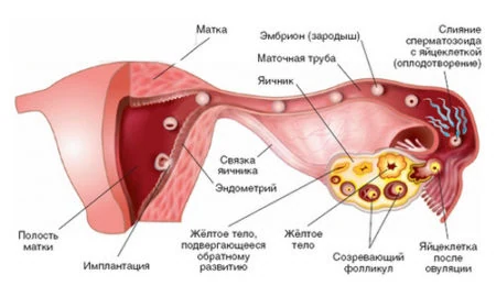 Иллюстрация 2