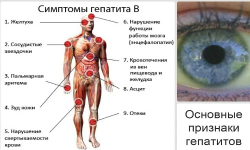 Иллюстрация 2 Иллюстрация 2