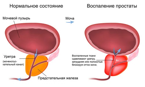 Иллюстрация 2 Иллюстрация 2