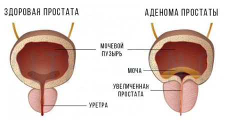 Иллюстрация 2