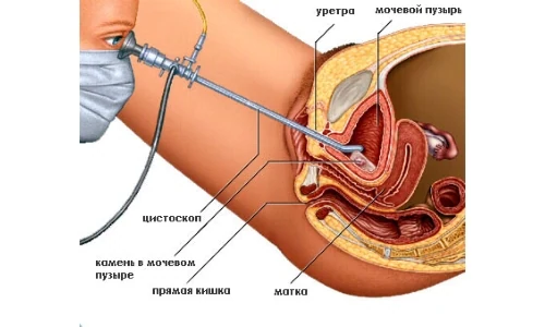 Картинка 7