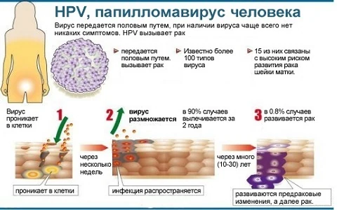 Картинка 3 Картинка 3