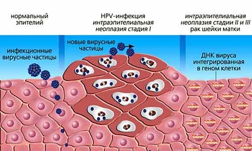 Иллюстрация 4