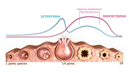 Картинка 4 Картинка 4