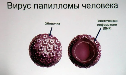 Иллюстрация 1 Иллюстрация 1