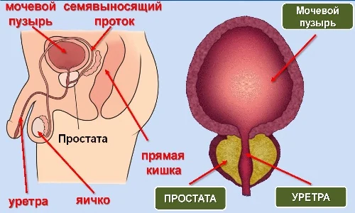Картинка 3 Картинка 3