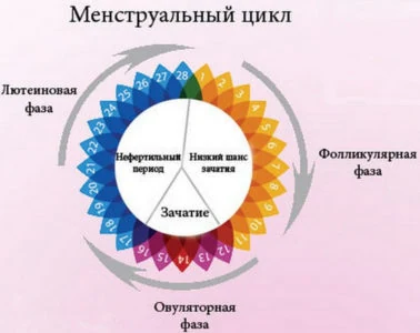 Картинка 1 Картинка 1