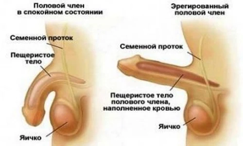 Картинка 2 Картинка 2