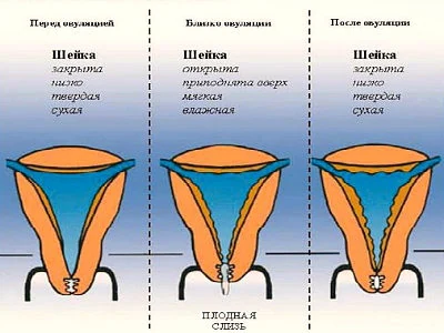 Изображение 3 Изображение 3