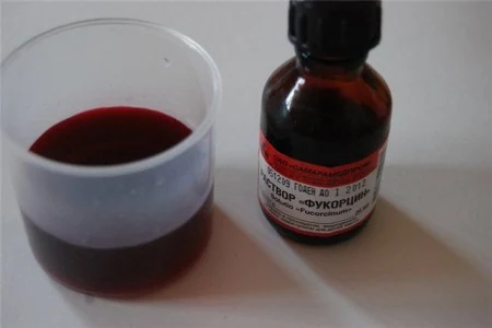 Картинка 5