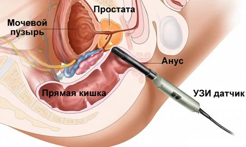 Иллюстрация 5 Иллюстрация 5