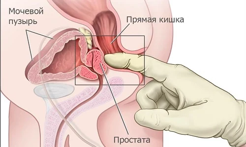 Иллюстрация 3 Иллюстрация 3