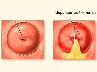 Иллюстрация 7 Иллюстрация 7