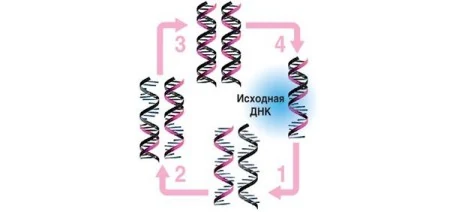 Картинка 5 Картинка 5