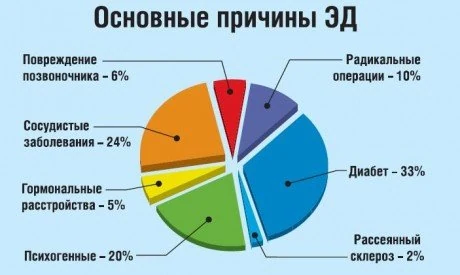 Картинка 2 Картинка 2