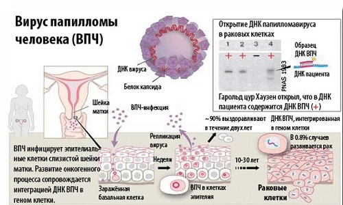 Иллюстрация 2