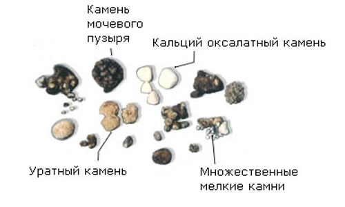 Иллюстрация 7