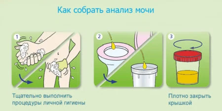 Картинка 9 Картинка 9