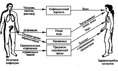 Иллюстрация 2 Иллюстрация 2
