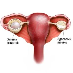 Иллюстрация 5 Иллюстрация 5
