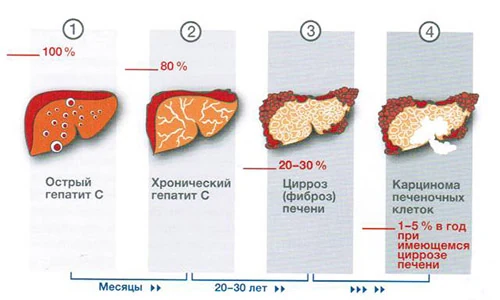 Изображение 3 Изображение 3