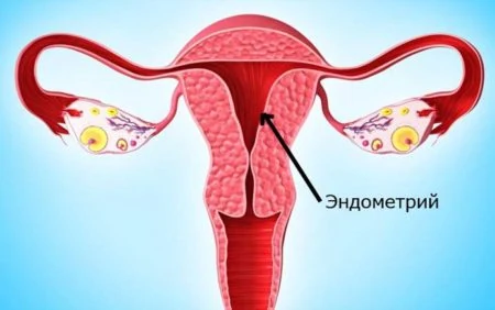 Картинка 1 Картинка 1