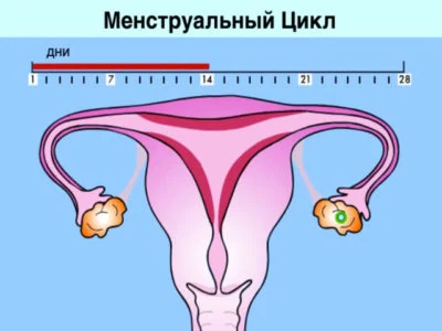 Изображение 2 Изображение 2