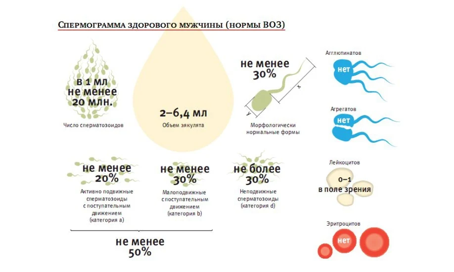 Иллюстрация 2 Иллюстрация 2