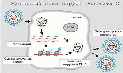 Изображение 2