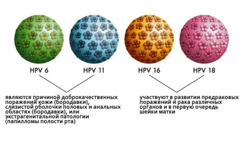 Картинка 3 Картинка 3