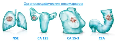 Картинка 1 Картинка 1
