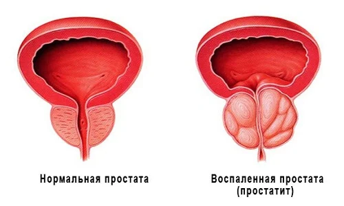 Иллюстрация 2