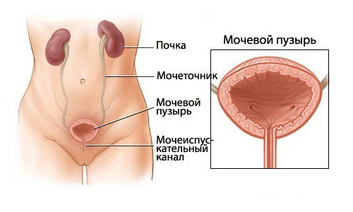 Иллюстрация 1