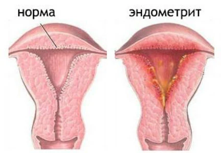 Иллюстрация 5