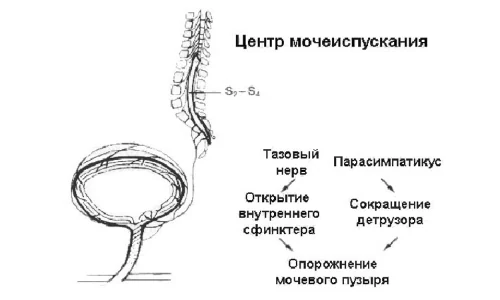 Изображение 3 Изображение 3